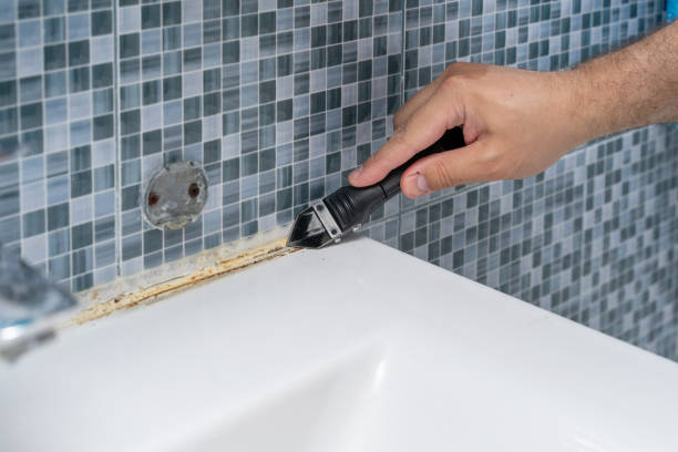 Best Office Mold Removal Services  in Lmyra, PA
